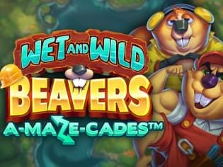 Wet and Wild Beavers screenshot