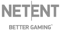 Mefete partner logo